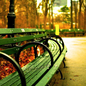 Первая неделя октября во Владимирской области будет холодной