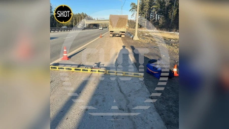 Во Владимирской области водитель сбил остановившего его сотрудника ДПС