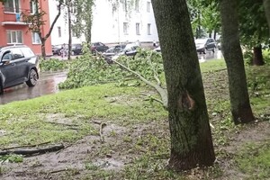 Последствия урагана «Эдгар» во Владимире показали на фото