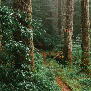 Во Владимире 39-летнего мужчину нашли живым спустя полгода