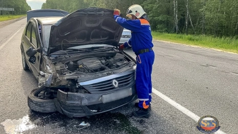 В Камешковском районе столкнулись Renault Logan и BMW