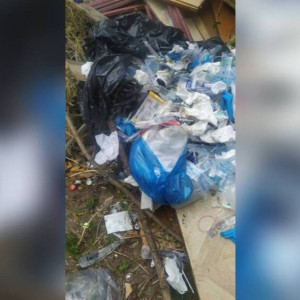 В Коврове нашли кладбище использованных шприцов и медпрепаратов