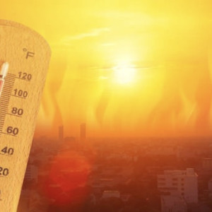 МЧС предупредило жителей Владимирской области о 4 классе пожарной опасности