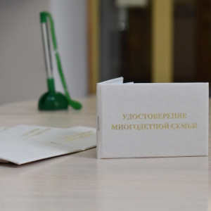 Во Владимирской области 18 тыс. многодетных семей получат удостоверения единого образца