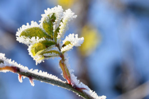 Во Владимирской области на М-12 день пройдет без осадков