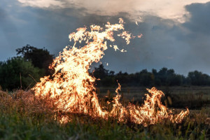 Во Владимирской области установили пожарную опасность 4 класса