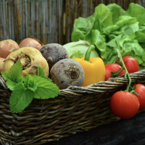 Во Владимирской области торговали запрещенными овощами