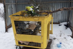 Намусорившие на одном из кладбищ во Владимире попали в фотоловушку