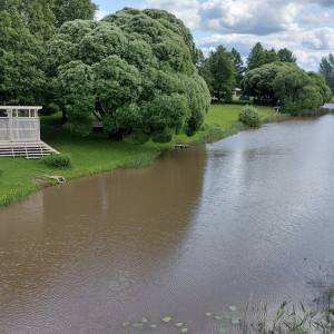 В Суздале разгорелся скандал с загрязнением реки Каменка