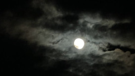 Угроза атаки БПЛА нависла над Владимирской областью в ночь на 14 декабря