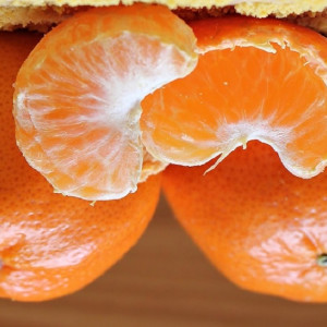 Игнатов день: что можно и чего нельзя делать 2 января