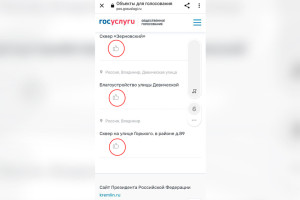 Из голосования за благоустройство Владимира исчезли цифры