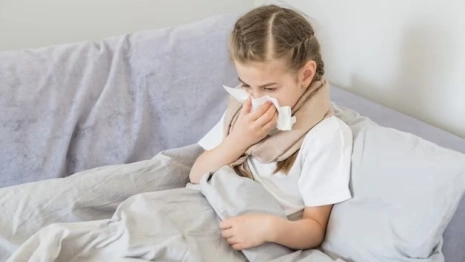 Во Владимирской области с начала 2024 года выявили 22 случая коклюша