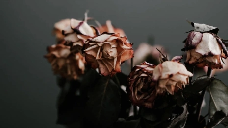 Во Владимире под клязьминским мостом обнаружили труп