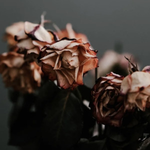 Во Владимире нашли труп 64-летнего мужчины