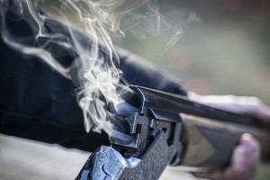 В Суздале застрелившему лосиху браконьеру назначили 9 месяцев исправительных работ  