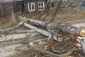 Спасать оставшиеся без света районы Владимирской области отправили 42 бригады энергетиков