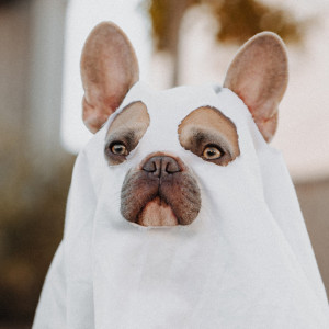 Мистическая пятница: что нельзя делать 13 января