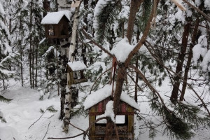В парке «Сказка» в Гусь-Хрустальном построили деревню «Птичкино»