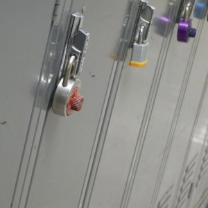 На двух вокзалах Владимирской области появятся автоматические камеры хранения