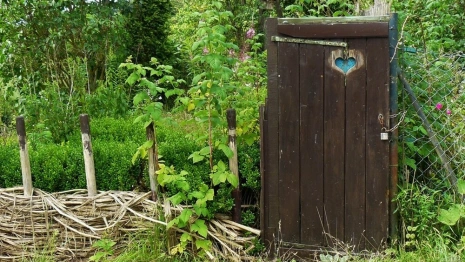 Дорофеев день: что можно и нельзя делать 18 июня