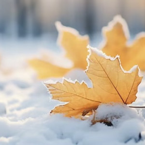 МЧС предупредило жителей Владимирской области о метели и гололеде