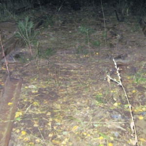 Во Владимирской области мужчины разобрали железную дорогу ради наживы