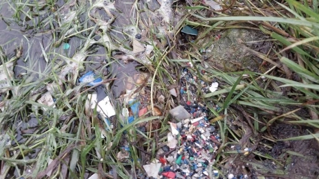 Губернатор назвал «свинством» загрязнение Клязьмы во Владимире