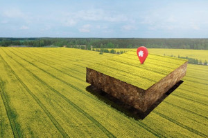 В поселке под Петушками земельный участок сдали в аренду с нарушением закона