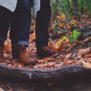 Прогноз погоды во Владимирской области на 4 ноября