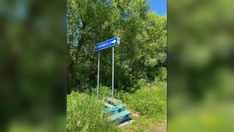 Остановка в Александровском районе за 30 лет заросла кустами