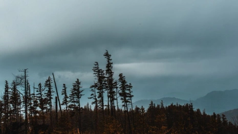 Во Владимирской области в выходные установится климатическая норма