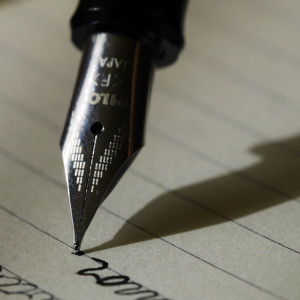 Во Владимирской области 40 школьников сдали ЕГЭ на 100 баллов