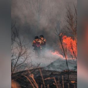 Во Владимирской области предупредили о пожарной опасности 4-го класса