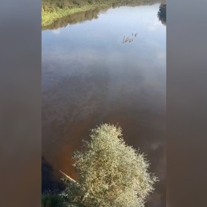 Жители Владимира обеспокоились странными пятнами в Клязьме