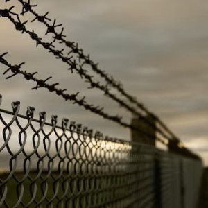 Пропавшего во Владимирской области Алексея Навального* нашли в колонии на Ямале