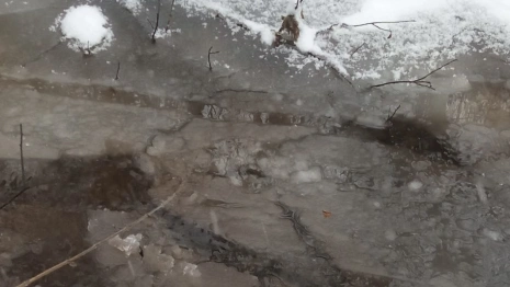 В Суздале категорически запретили выходить на лед реки Каменка