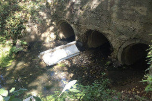 Реку Содышка под Владимиром завалили щебнем