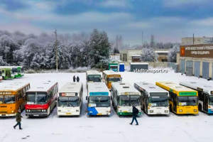 Музей общественного транспорта может появиться во Владимире