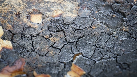 Бастрыкин поручил завести уголовное дело из-за бездорожья во Владимирской области