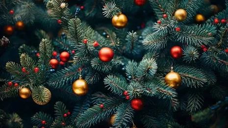Появилось расписание новогодних елок во дворах Владимира