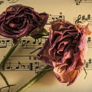 Во Владимире женщина оставила предсмертную записку и покончила с собой