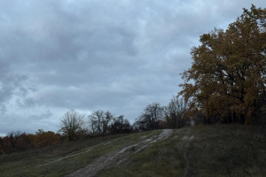 Прогноз погоды во Владимирской области на 12 ноября 2025 года