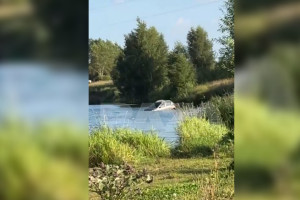 В Кольчугино парень на авто пытался утопиться в реке из-за долгов