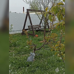 Во Владимирской области пошел снег