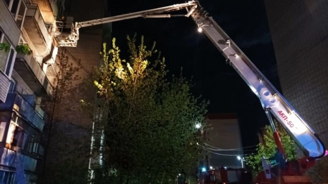 На пожаре во Владимире спасли двоих детей
