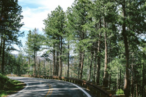 Во Владимирской области спасли пропавшего 38-летний мужчину со спортивной сумкой