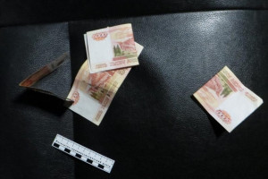 В Гусь-Хрустальном узбек пытался дать взятку инспектору ППС