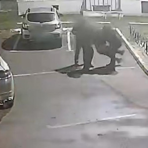 Появилось видео похищения бизнесмена во Владимире группой мужчин