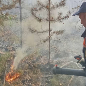 Запах гари из-за лесного пожара в Камешковском районе дошел до Коврова